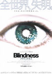 blindness_1_1b.jpg